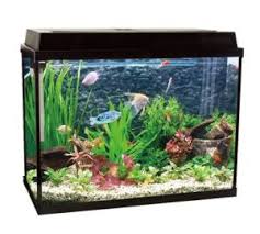 China Big Table Rectangle Glass Fish Tank Pet Tank With Filter System And Led Light With Ce Rohs Saa Certificate China Fish Tank And Fish Aquarium Tank Price