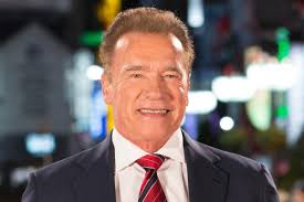 Arnold Schwarzenegger to star in first scripted TV series