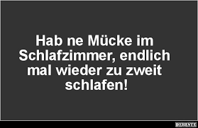 Du willst den lästigen moskitos in deinem zimmer den kampf ansagen? Hab Ne Mucke Im Schlafzimmer Endlich Mal Lustige Bilder Spruche Witze Echt Lustig Spruche Witze Lustig