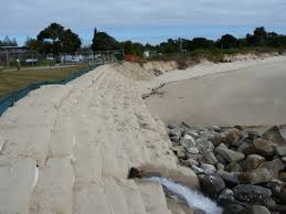 Лонгборд oxelo yamba 500, 27.5x8.1, palm wood. Rescuing Whiting Beach From Erosion Yamba Nsw Australia Geosynthetica