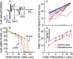 Animal cell coloring diagram labeled of the ear. Altered Mapping Of Sound Frequency To Cochlear Place In Ears With Endolymphatic Hydrops Provide Insight Into The Pitch Anomaly Of Diplacusis Scientific Reports