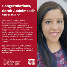 Celebrating our @CornellVet DVM Class of 2024 graduates! Many of them had  enriching experiences as students working