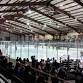 New Mexico Ice Wolves at El Paso Rhinos event in El Paso, TX