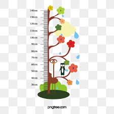 Height Ruler Png Images Vector And Psd Files Free