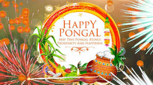 Happy Pongal Whatsapp Status Pongal Whatsapp Status 2019 Message Greetings Pongal Wishes Pongal 2019 Youtube The #mindblowing business done by #viswasam and #petta opens the doors for more such big clashes in all future festival slots too, in tn.