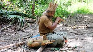 This is a small but very interesting museum with material that you won't see elsewhere except perhaps in the other orang asli museum in gombak. Lokalocal Trip Detail