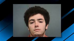 Cullman man named Blue Berry Hill sentenced to life for murder