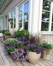 Our job is done when you receive beautiful, fresh flowers at your doorstep. Pin By Charlotte On G A R D E N Cottage Garden Garden Containers Container Gardening Flowers