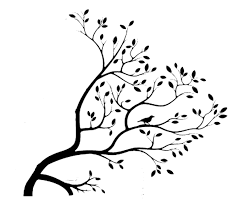 Bird On Tree Branch Png Bird Tree Png 705 571 Bird Tree Drawings Tree