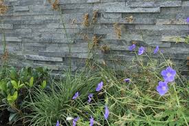 Hours, address, green & stone reviews: Green Slate Wall Cladding Slate Wall Stone Cladding Natural Stone Cladding