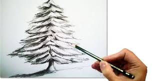How To Draw A Realistic Christmas Tree With Pencil Draw Step By Step Christmas Tree Drawing Christmas Tree Sketch Realistic Christmas Trees