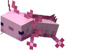 Plus, how to breed them and what to feed them. Minecraft Axolotls Apex Hosting