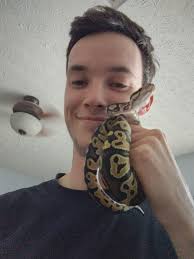 Hey everyone. I finally got my first snake. He's a mystic ball python named  jörmungandr named after the Norse world serpent. He's very special although  my parents took some calming down but
