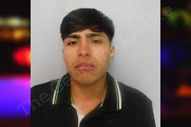 Edgar Arellano — Hall County Jail Bookings