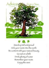 Pin By Erin Swager On Future Teacher Tree Poem Words With Friends Simple Poems