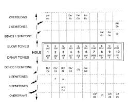 Notes And Approximate Frequencies Of A Ten Hole Diatonic