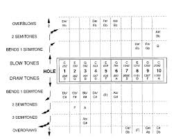 notes and approximate frequencies of a ten hole diatonic