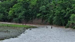 5 / 5 30 мнений. Researchers Provide Unequivocal Evidence For Existence Of Mythical Saraswati River The Weather Channel Articles From The Weather Channel Weather Com