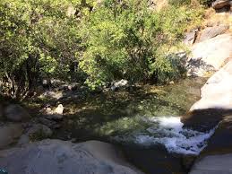 Original lyrics of el canelo song by los lobos. Wikiloc Picture Of 7 Posas El Canelo San Jose De Maipo 1 1