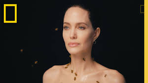 •cause a little trouble it's good for you• fangie 24/7 #angelinajolie. Angelina Jolie Photographed Covered In Bees To Support Conservation Petapixel