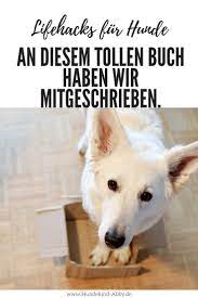 unser erstes buch lifehacks fur hunde werbung hundekind abby hundeblog hunde hundegeschichten hundchen training