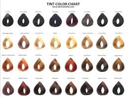 Satin Hair Color Chart Lajoshrich Com