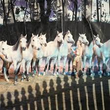 Cavalia Closed 70 Photos 99 Reviews Performing Arts