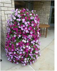 Pin On Creating Curb Appeal Front Porches And Beautiful Backyards