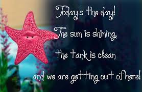 Do today's duty, fight today's temptation; Peach Finding Nemo Today S The Day The Sun Is Shining And We Are Getting Out Of Here Nemo Quotes Finding Nemo Peach Quote