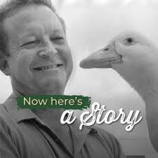 Don Wentzel's Instagram, Twitter & Facebook