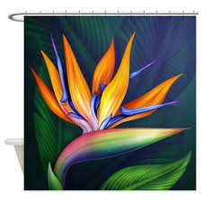 Bird Of Paradise Shower Curtain On Cafepress Com Flower Painting Art Prints Wall Art Prints