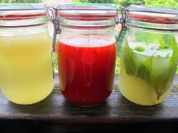 Wasserkefir Paleo Wasserkefir Kefir Kombucha Rezept