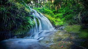 Milhares de papéis de parede legal disponíveis. Tailandia Cachoeira Floresta Rio Verde Grama Papel De Parede Hd Alta Definicao 3840 2160 Hd Papel De Parede Wallpaperbetter