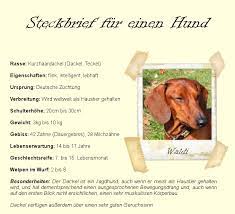 Beruf steckbrief muster / steckbrief. Steckbrief Aufbau Beispiel Und Muster Losung