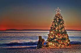 Catalina Casino Christmas 2021 Photos Catalina Island And Christmas Tree Outdoor Photographer