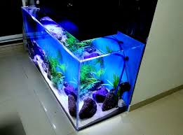 Best Custom Aquarium Company In India Resonating Simplicity Clipgoo Aquarium Design Custom Aquarium Aquarium