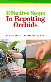 Maybe you would like to learn more about one of these? Effective Steps In Repotting Orchids How To Repotting Orchid An Easy Kindle Edition By French Layla Crafts Hobbies Home Kindle Ebooks Amazon Com