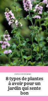 8 Types De Plantes Tres Jolies Et Qui Parfument Votre Jardin Plante Jardins Planter Des Fleurs