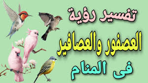 Scopri ricette, idee per la casa, consigli di stile e altre idee da provare. ØªÙØ³ÙŠØ± Ø±Ø¤ÙŠØ© Ø§Ù„Ø¹ØµÙÙˆØ± ÙˆØ§Ù„Ø¹ØµØ§ÙÙŠØ± Ø¨Ø¬Ù…ÙŠØ¹ Ø§Ø´ÙƒØ§Ù„Ù‡Ø§ Ù„Ø§Ø¨Ù† Ø³ÙŠØ±ÙŠÙ† Youtube