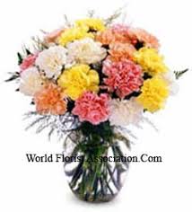 It was just a way to fit in — the older crowd was telling me that if i were to do this, then i could sit in the front row section of our football games. Send Carnations To Germany Carnation Delivery In Germany