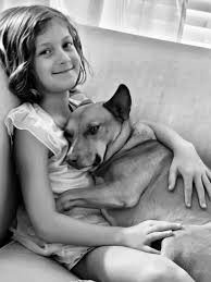 Our goal is to spread the word about adopting instead of shopping for your next dog or cat. Adoptable Pets Apply To Adopt Saving Hope Animal Rescue