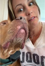 Hannah Weil (@weildlings)