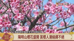 臺北市(a) 臺中市(b) 基隆市(c) 臺南市(d) 高雄市(e) 臺北縣(f) 宜蘭縣(g) 桃園縣(h) 新竹縣(j) 苗栗縣(k) 臺中縣(l) 南投縣(m) 彰化縣(n) 雲林縣(p) 嘉義縣(q) 臺南縣(. é™½æ˜Žå±±æ«»èŠ±ç››é–‹è³žæ«»äººæ½®çµ¡ç¹¹ä¸çµ• å®¢å®¶æ–°èž20190207 Youtube