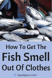 Check spelling or type a new query. How To Get The Fishy Smell Out Of Clothes Remove Oily Stains Too