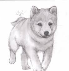 We did not find results for: Drawing Puppy Dog Drawing Realistic