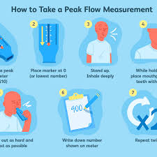 This color system would be like this. Peak Flow Meter Uses Procedure Results