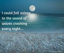Cereusart Coastal Decor Beach Quotes Ocean Beach