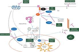 They also do tests to learn if cancer has this section describes options for diagnosing mesothelioma. Searching For Targets For The Systemic Therapy Of Mesothelioma Annals Of Oncology