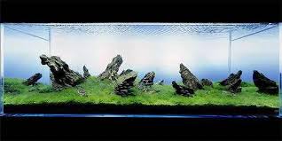 Reddit I Present To You Aquascaping Aquarium Landscape Nature Aquarium Aquascape