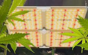 The grow light extracts the most helpful blue light, red light, and white light that mimic natural sunlight. Led Grow Lights Are More Affordable Than Ever For Cannabis Cultivators